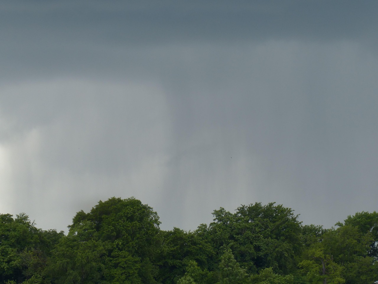 Lluvia cayendo desde las nubes grises en un cielo nublado, sobre árboles verdes