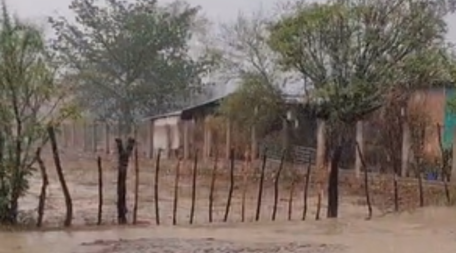 Cae lluvia en la zona serrana de Choix