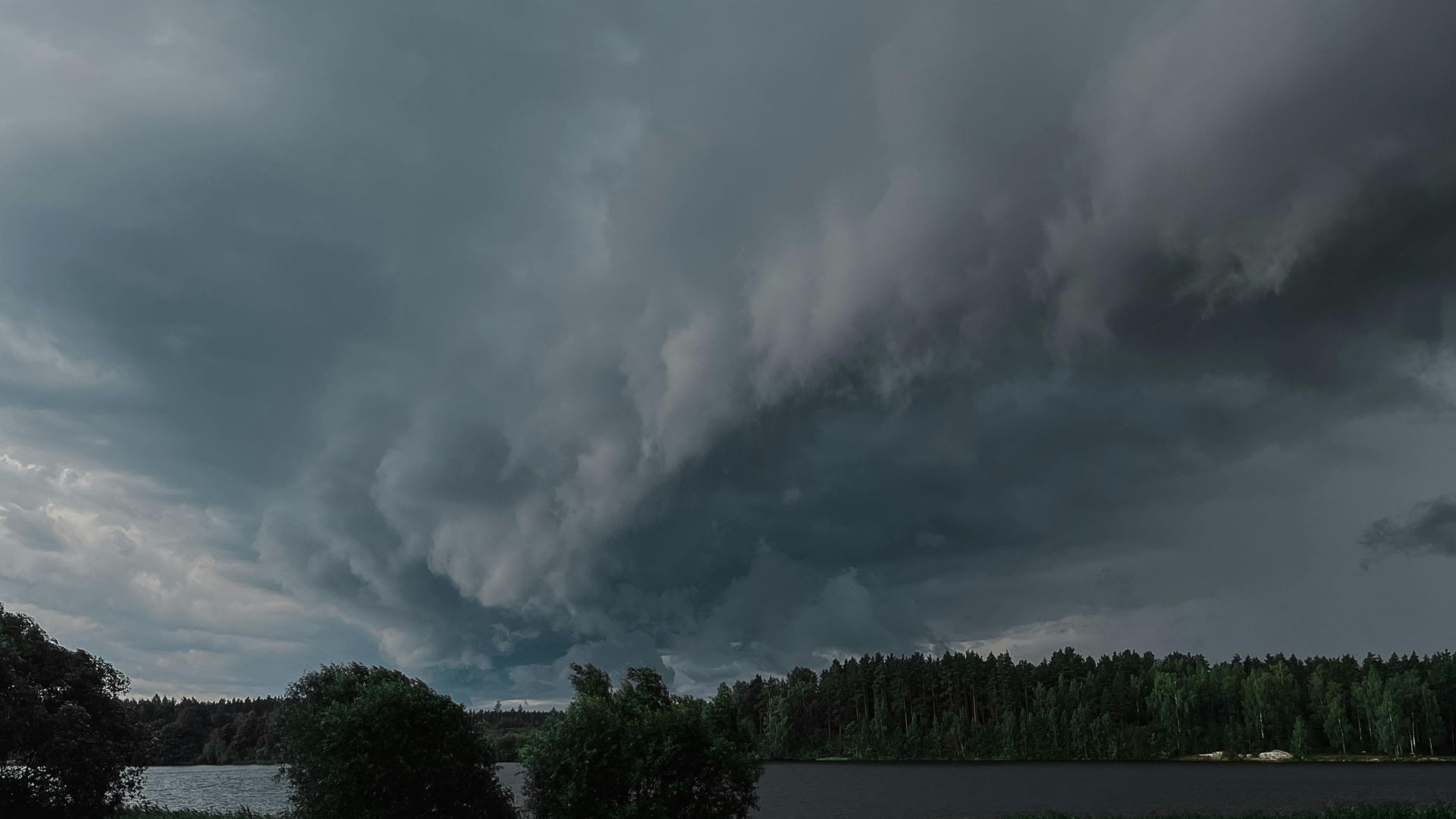 Nubes grises de tormenta sobre árboles