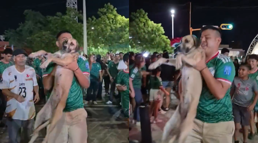 Perrita se reencuentra con su dueña tras los festejos de la Selección Mexicana en Tamaulipas.