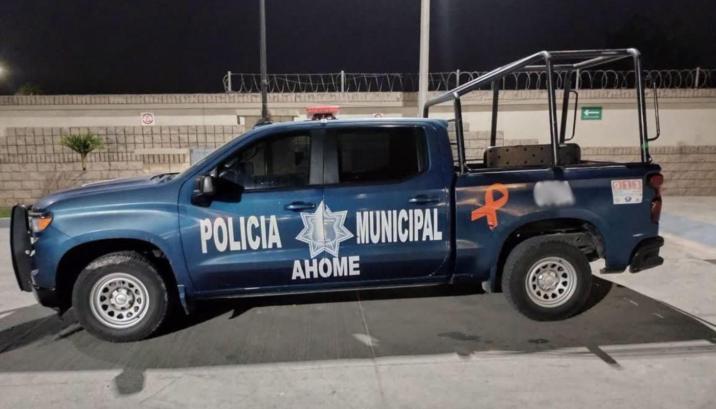 policía de genero