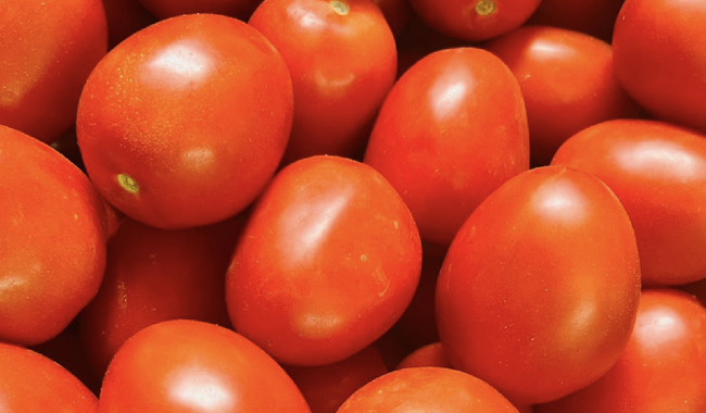 Tomate