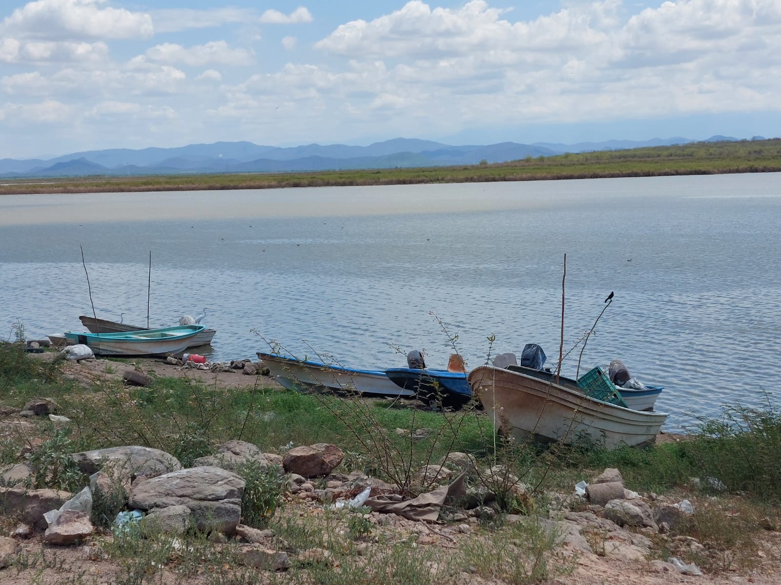 presa Eustaquio Buelna