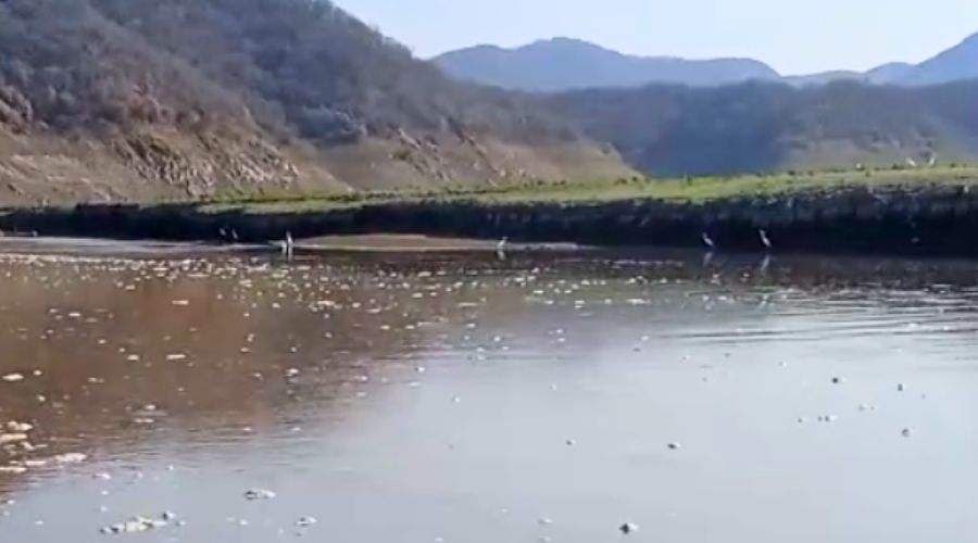 presa1