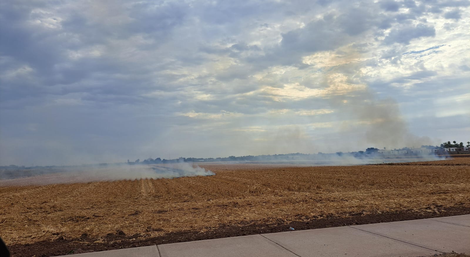 Incendio en una zona de cultivo agricola, con humo saliendo y un cielo nublado