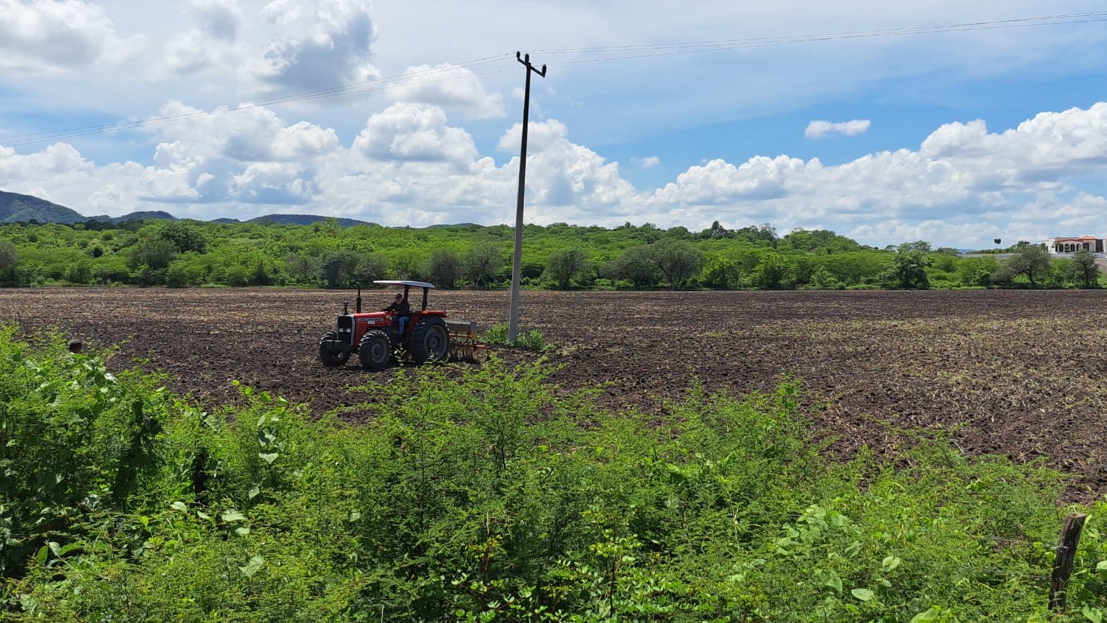 Máquina en un cultivo de siembra