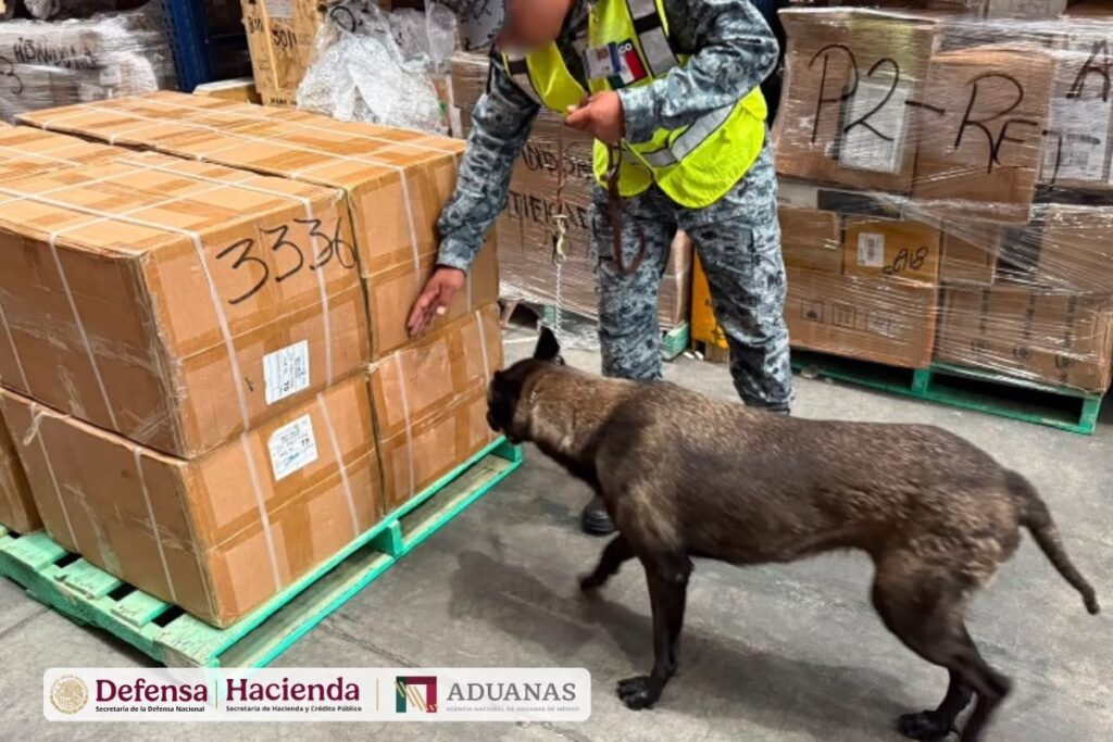 Perro junto a unas cajas de cartón