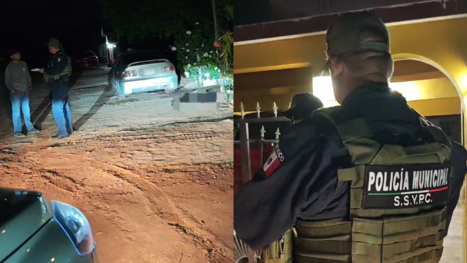 Disparan y privan de la vida a un perro