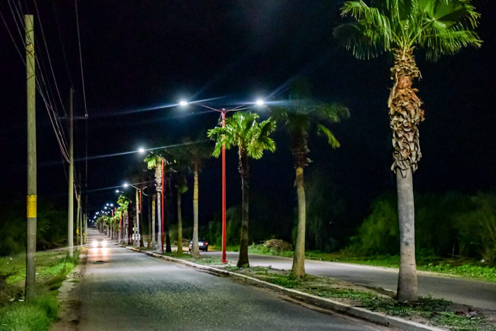 Camellón con alumbrado público