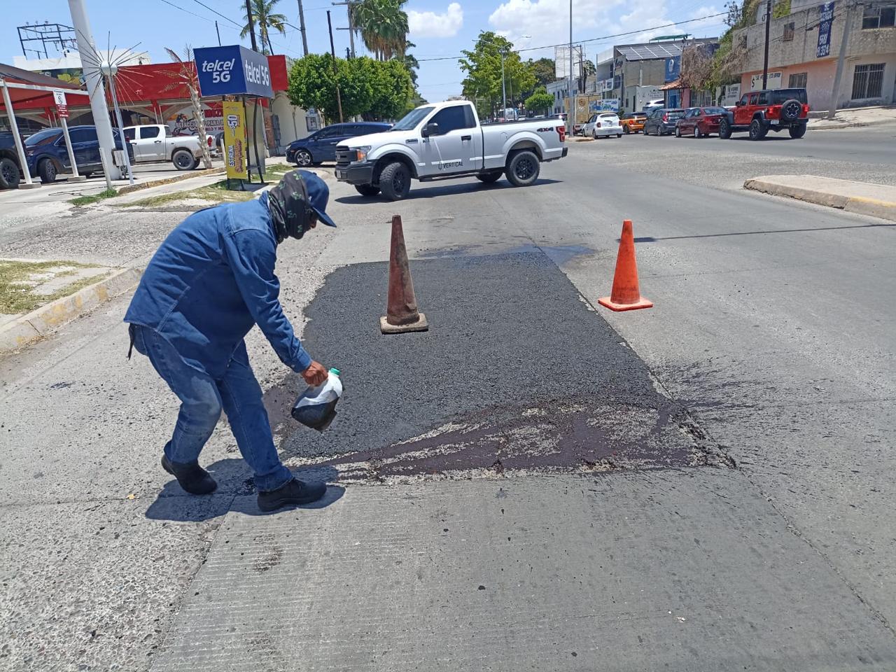 Bache