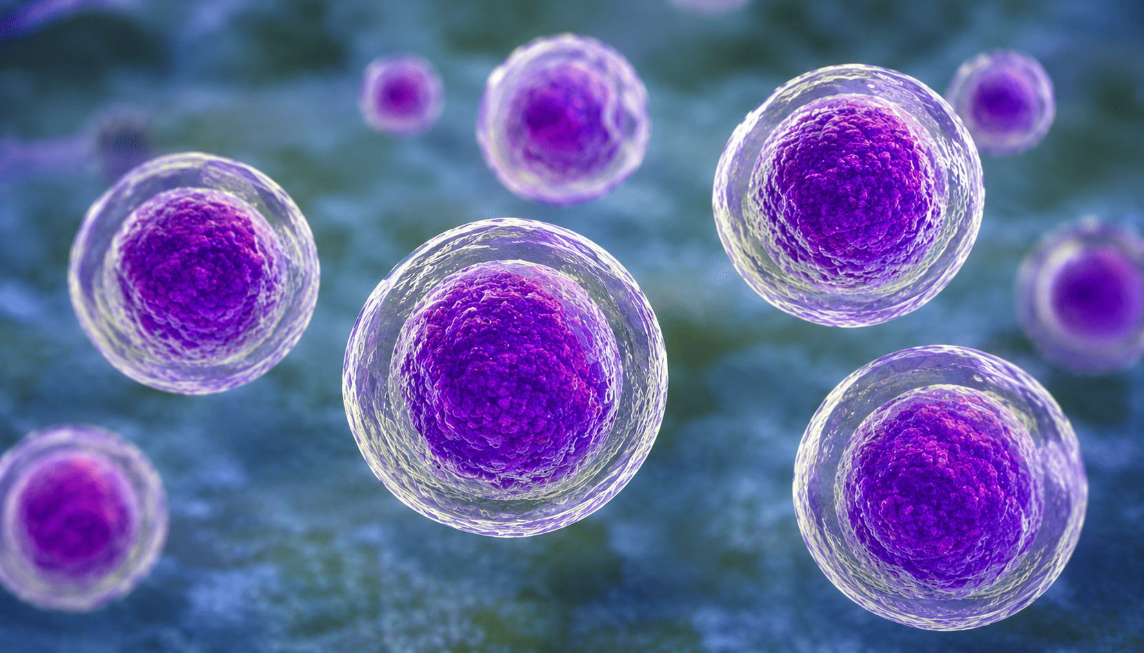 Bacteria cyclospora