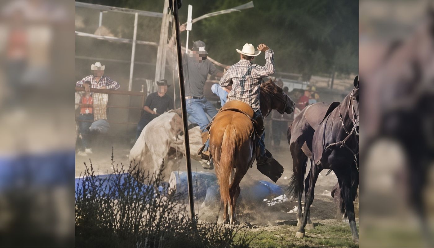 Caballos