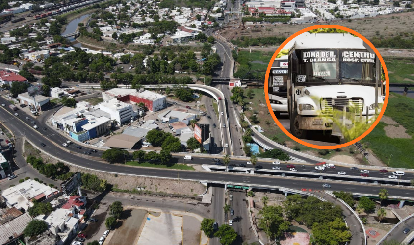 Camiones CLN- bulevar Pedro Infante