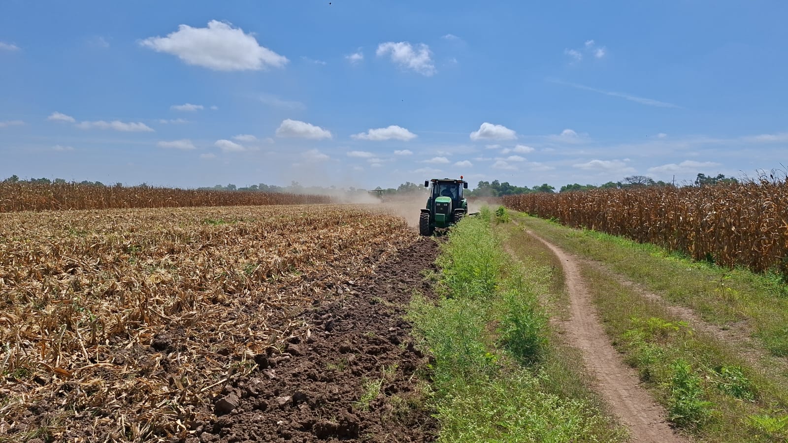 Lluvias dan respiro al campo sinaloense