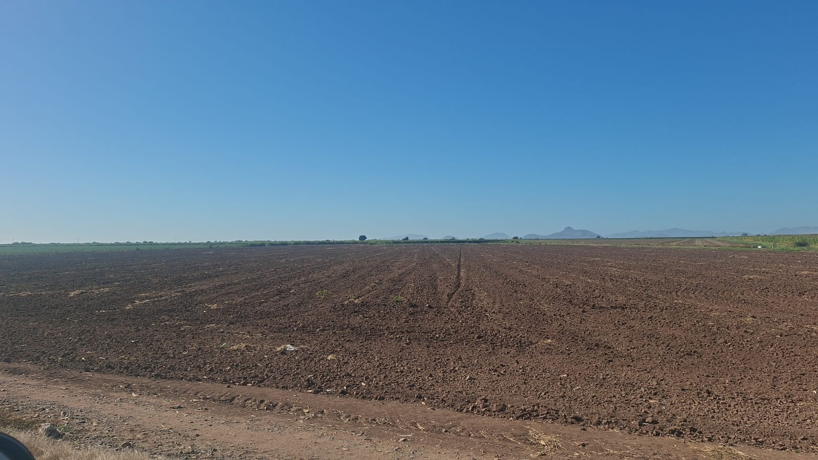Campo agrícola Carrizo