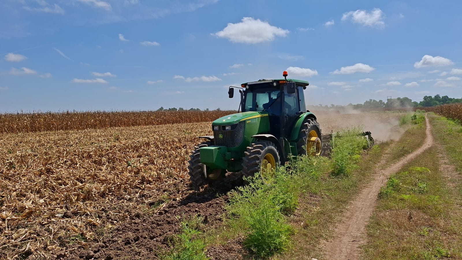 Productores sinaloenses exigen apoyos para seguir sembrando