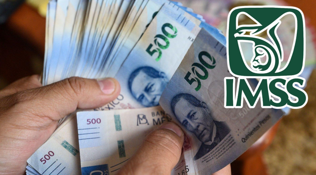 ¿Vas a pensionarte? Conoce los regímenes que establece el IMSS