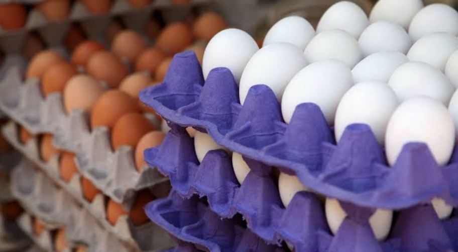 Estados Unidos ordena retirar millones de huevos por posible contaminación