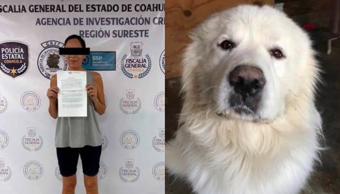 Caso Rocky: Fiscalía de Coahuila busca la pena máxima contra mujer señalada por la muerte del perrito
