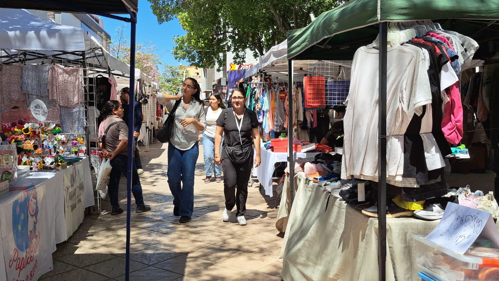 Centro de Culiacán