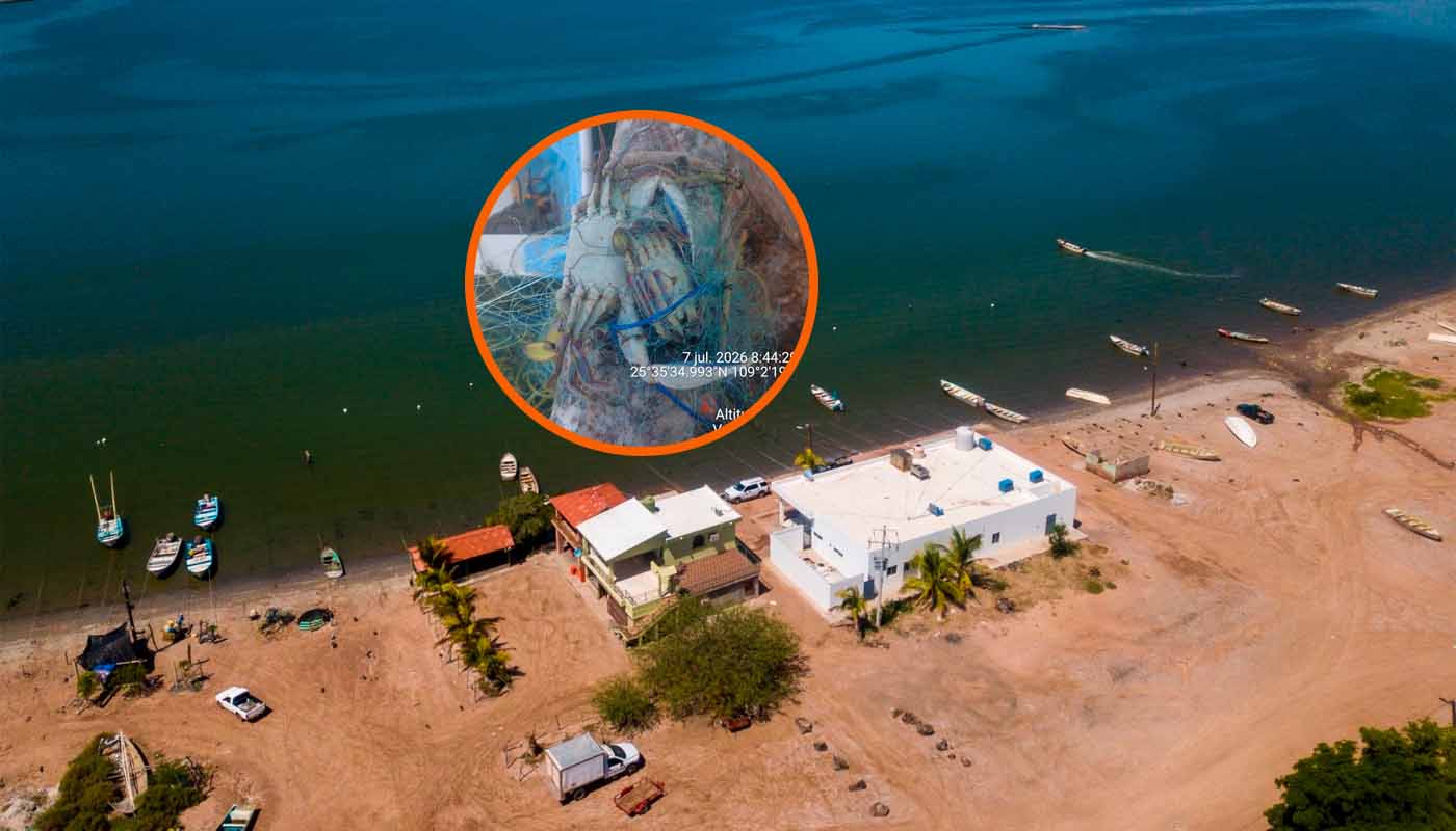 Conapesca frustra captura ilegal de jaiba en Ohuira Ahome