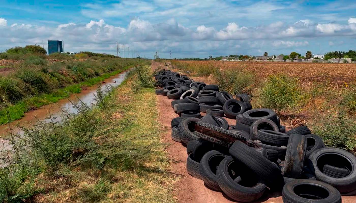 Denuncian tiradero de llantas en canal de Los Mochis