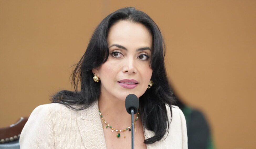 Diputada Irma Moreno