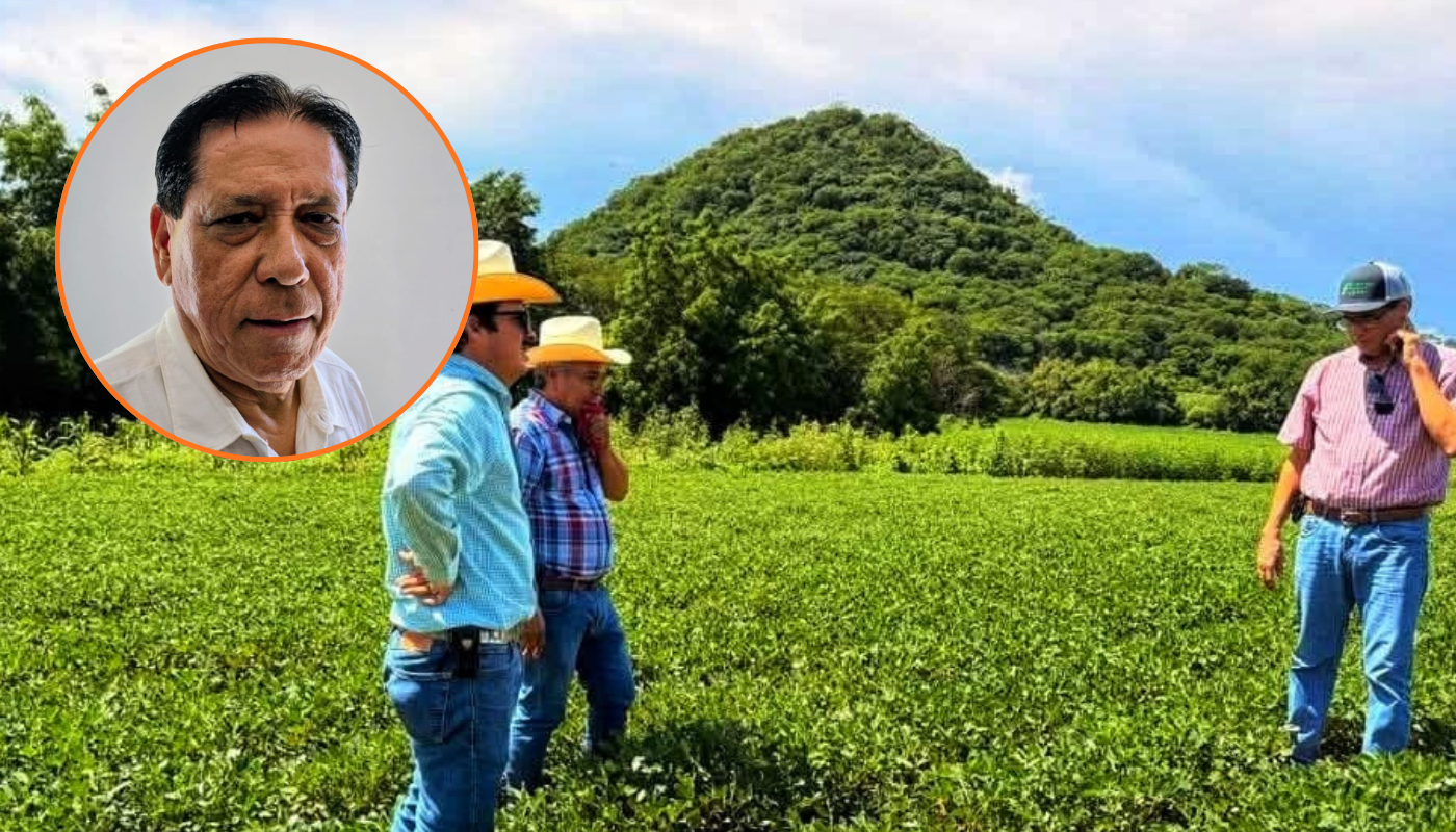Campo de cacahuate