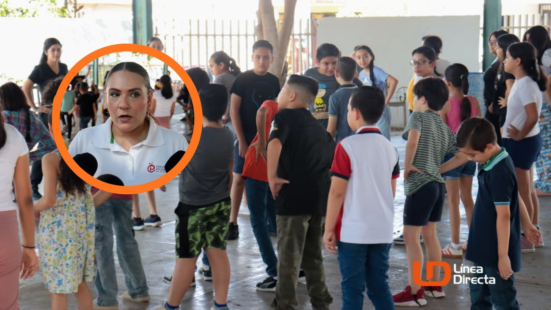Curso de verano Focus