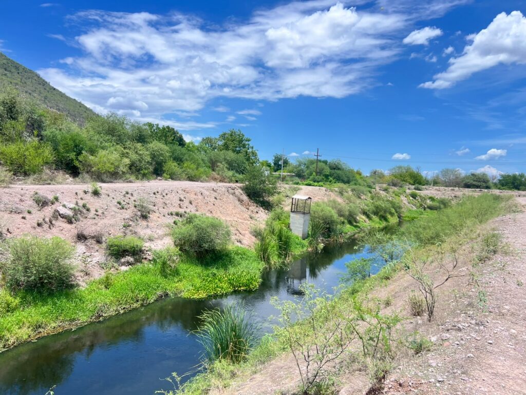 Canal con poca agua y árboles verdes