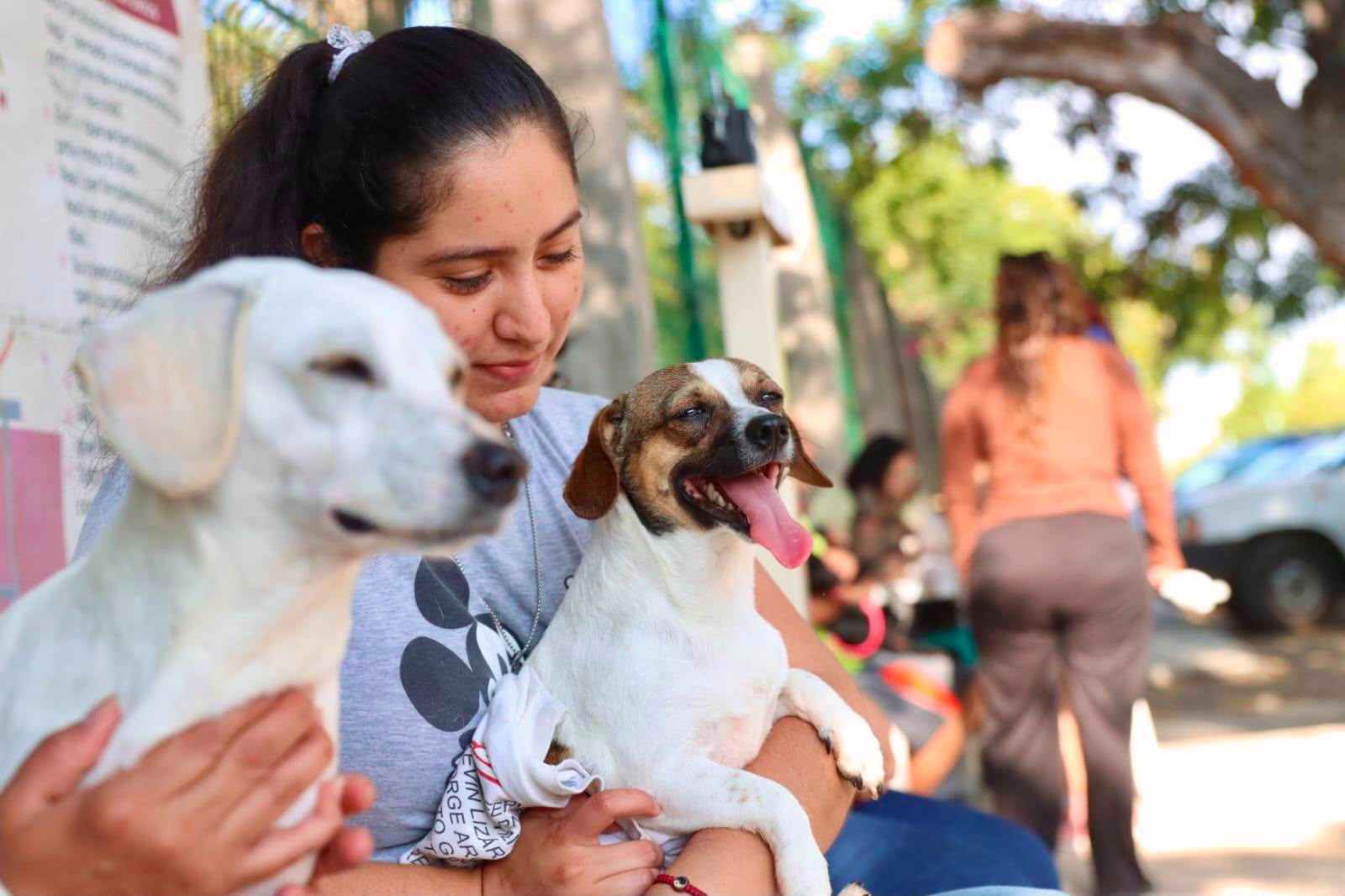 Esterilización Mazatlán
