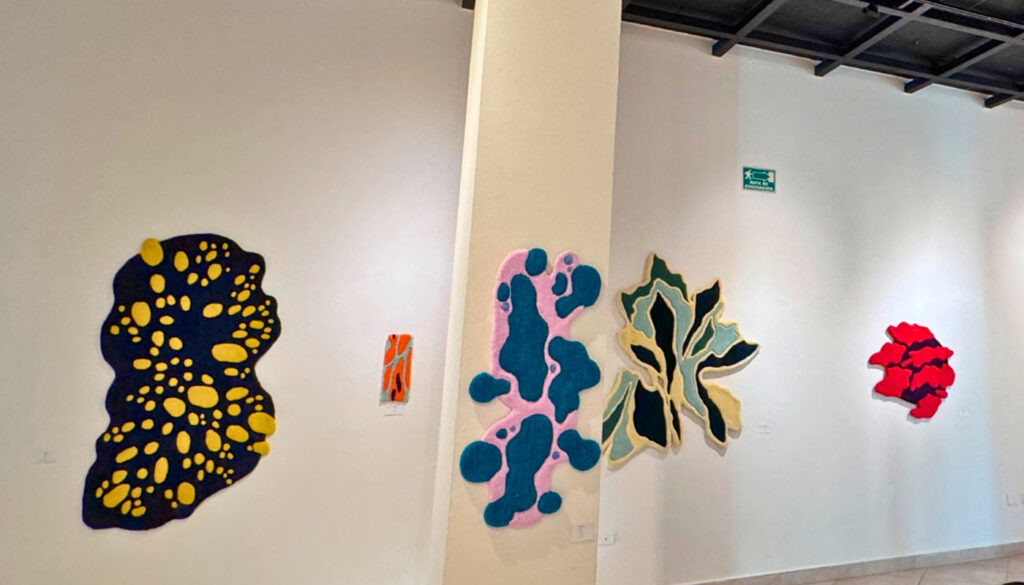 Filos Suaves, exposición de Manzane