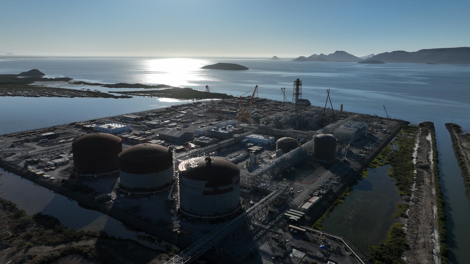 planta cerca de Topolobampo