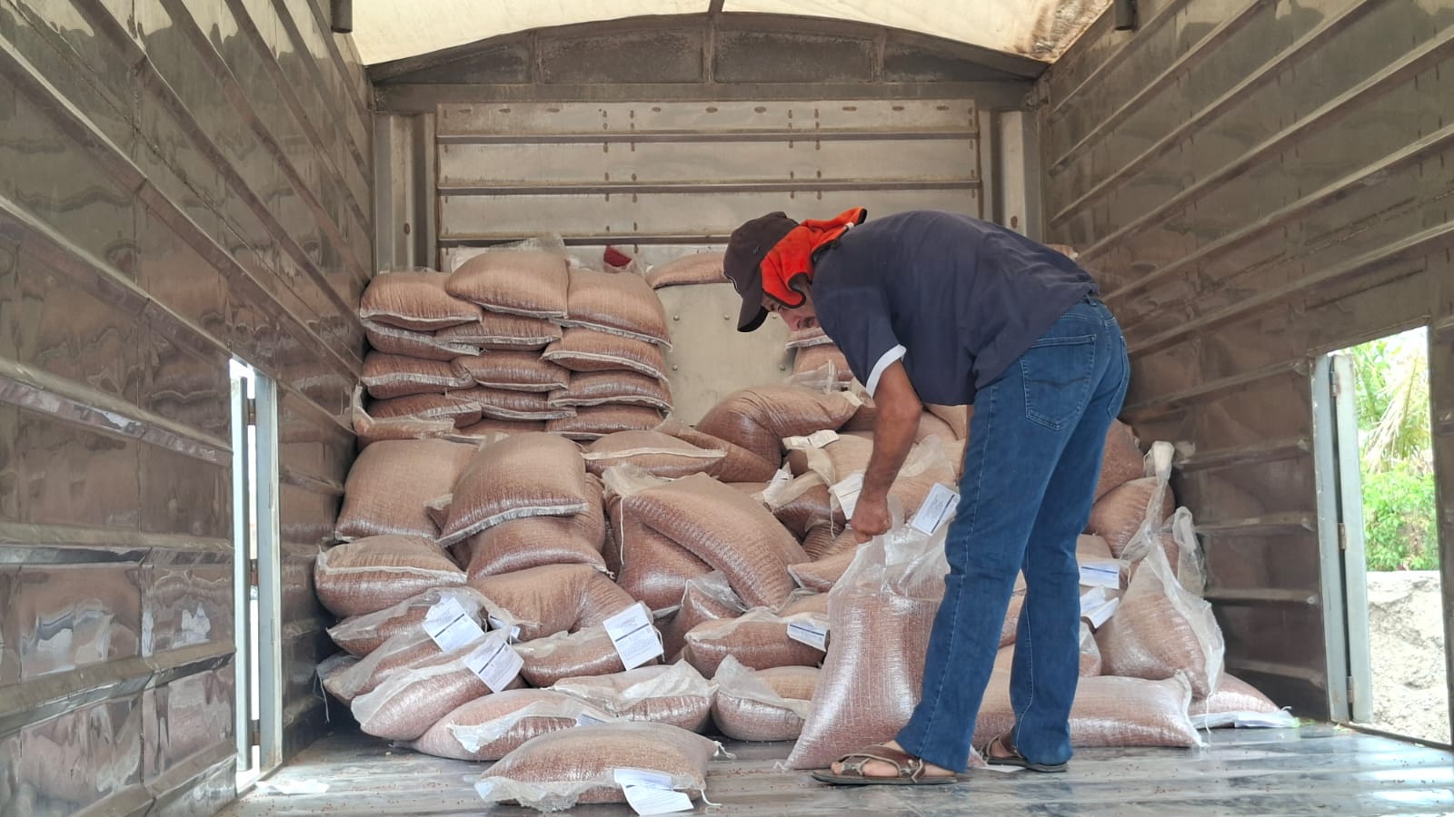 Persona con costales de sorgo