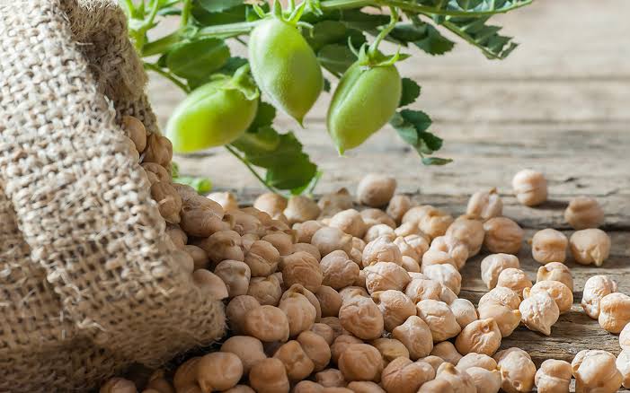 Precio bajo del garbanzo impide que sea alternativa de diversificación en el campo: Productores