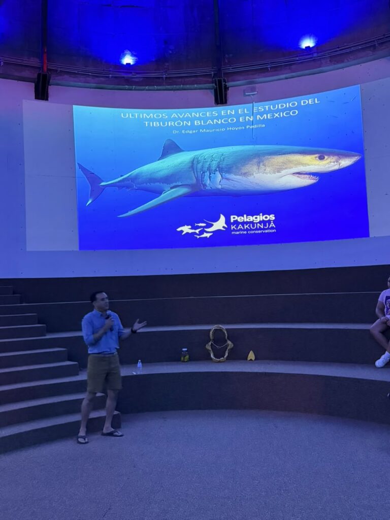 Seminario Tiburones