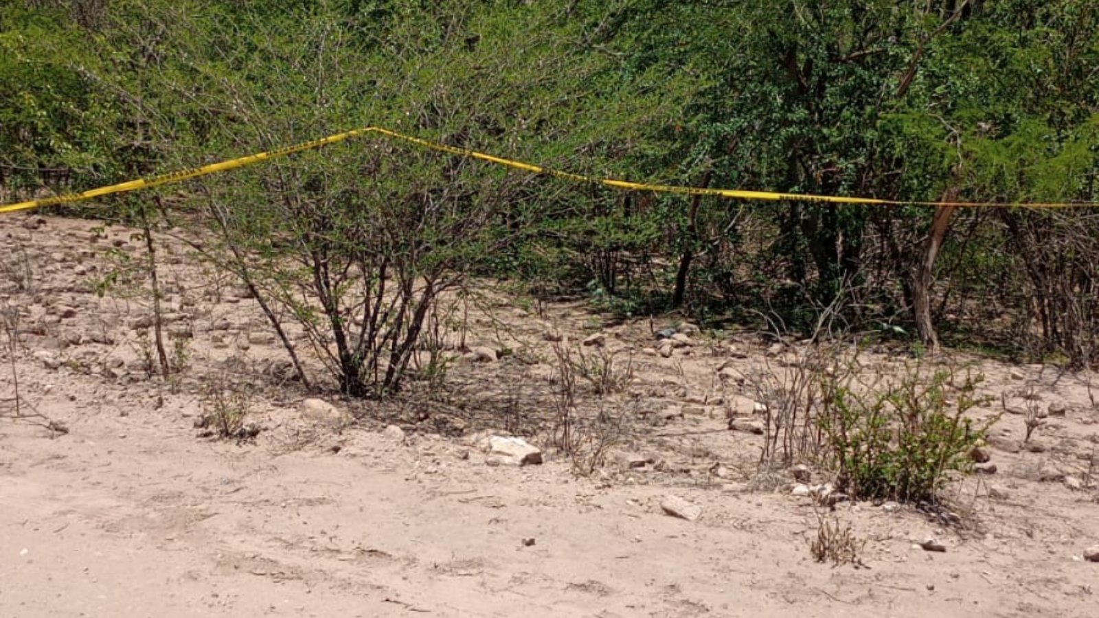 Localizan tres cuerpos en los límites de Sinaloa con Sonora