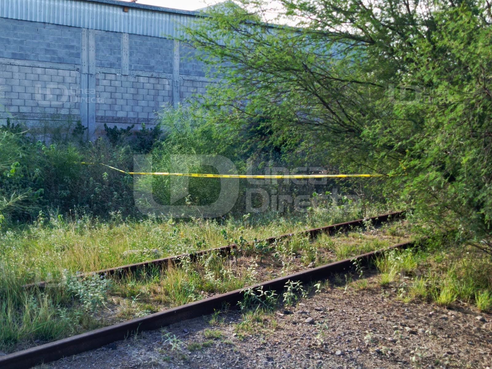 En este sitio fue encontrado el cuerpo de una mujer en avanzado estado de descomposición.