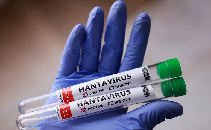 OMS declara fin del brote de hantavirus tras detección en crucero