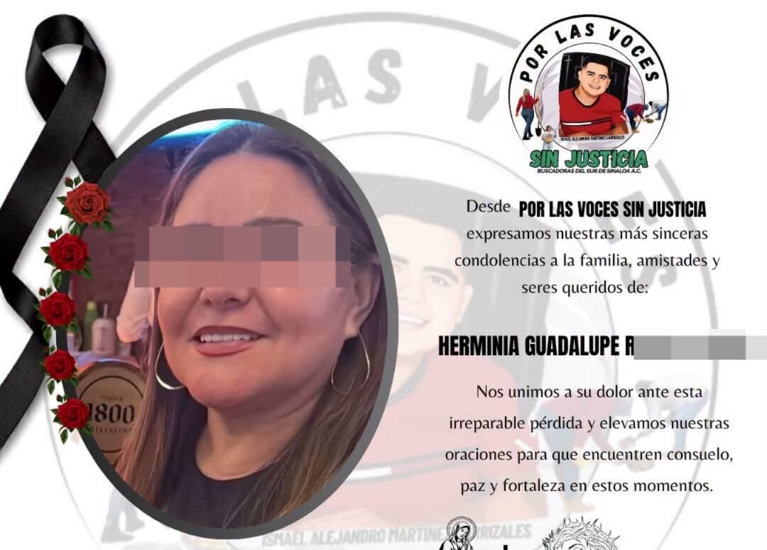 Herminia buscadora