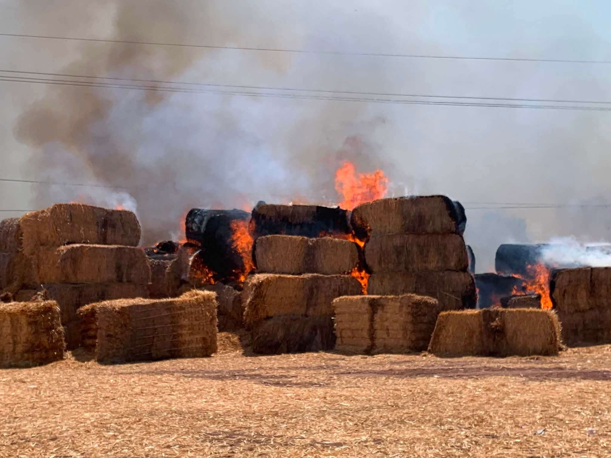Pacas con fuego