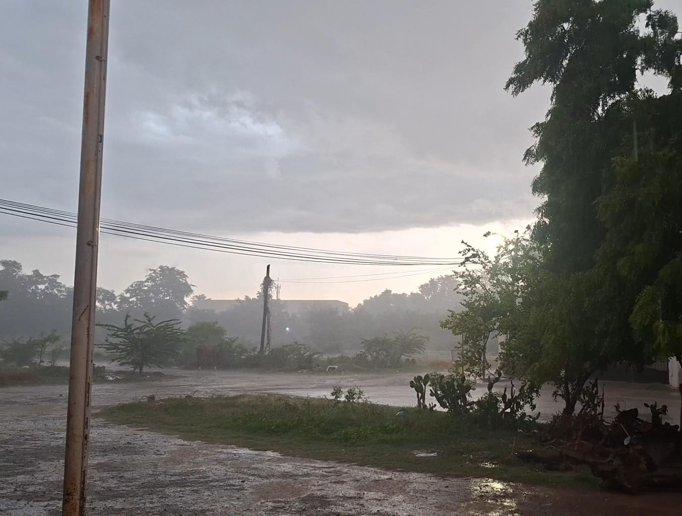 Lluvia cae en Guasave