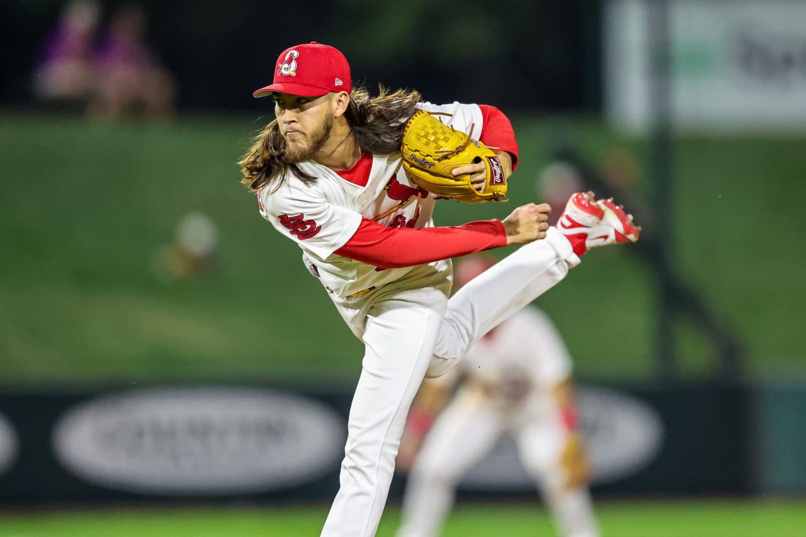 Pitcher mochitense
