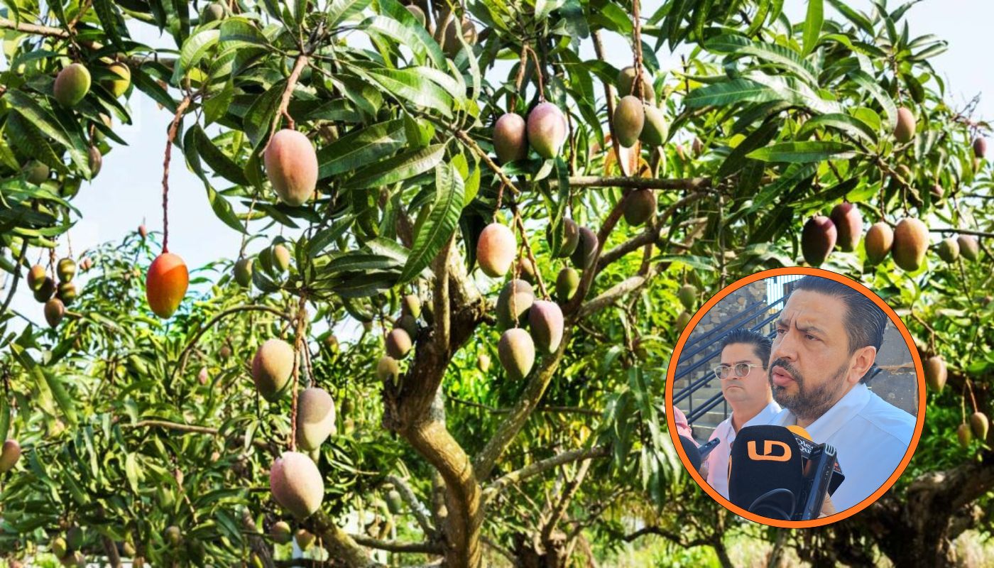 MANGO