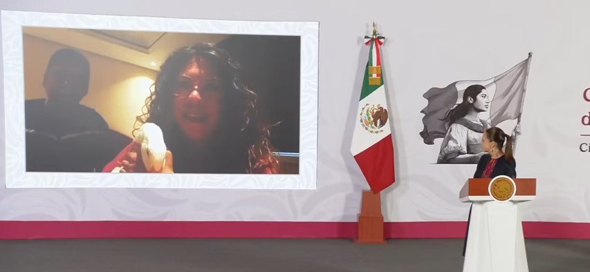 ¡Familia del pato Merlín ya tiene casa! Así lo anunció Sheinbaum en su conferencia mañanera