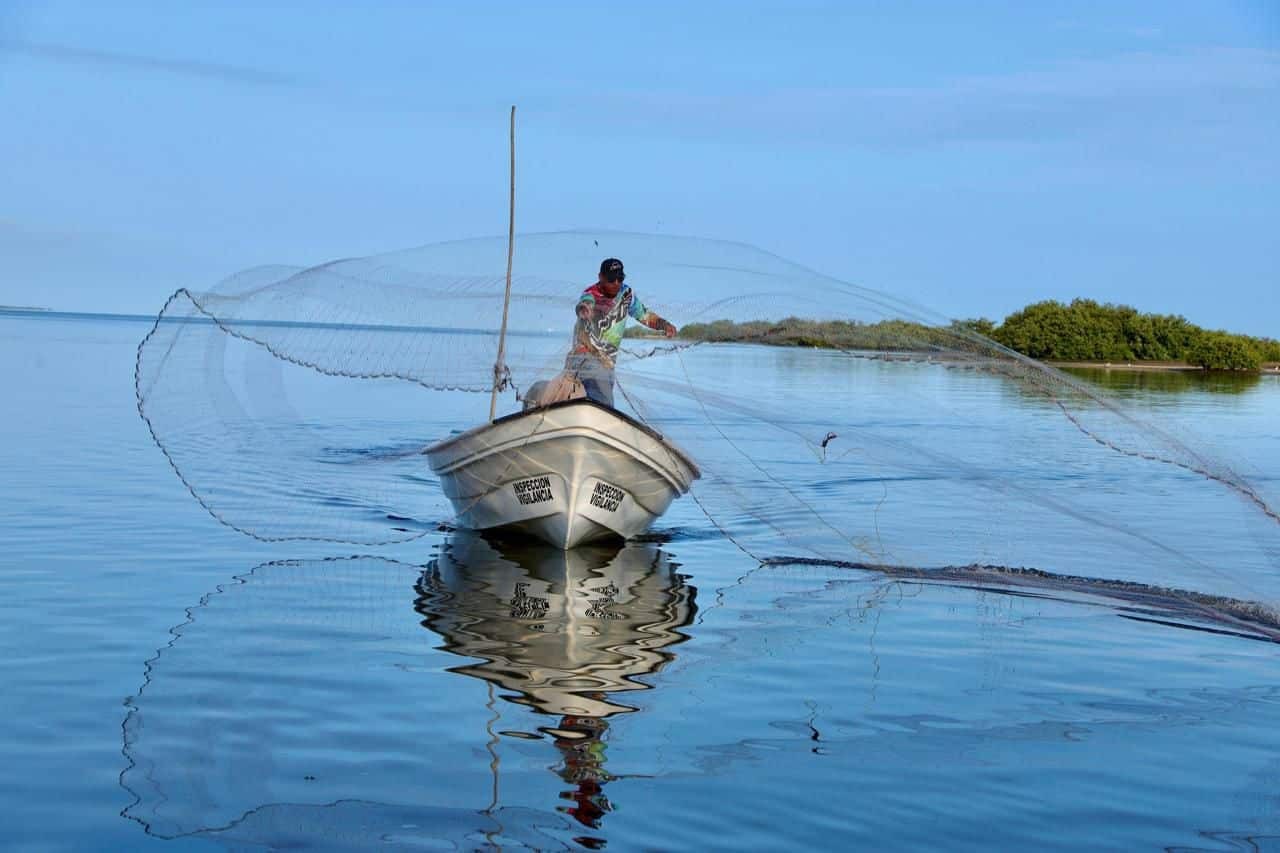 Pescadores jaiba