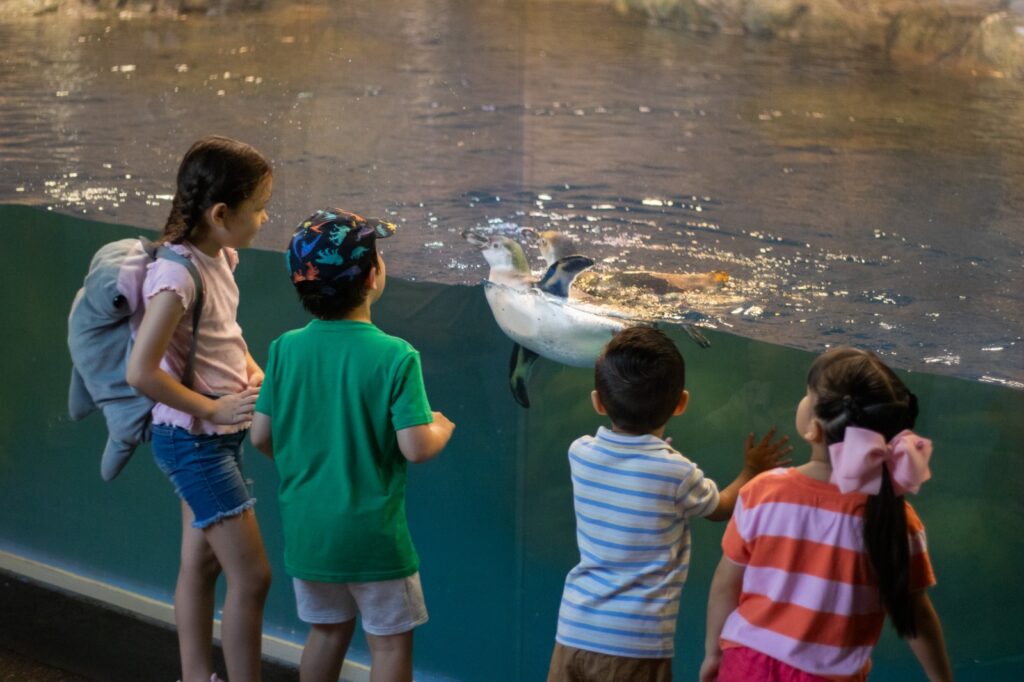 Niños junto a pingüinos
