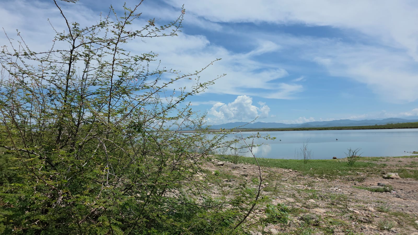 Presa Eustaquio Buelna