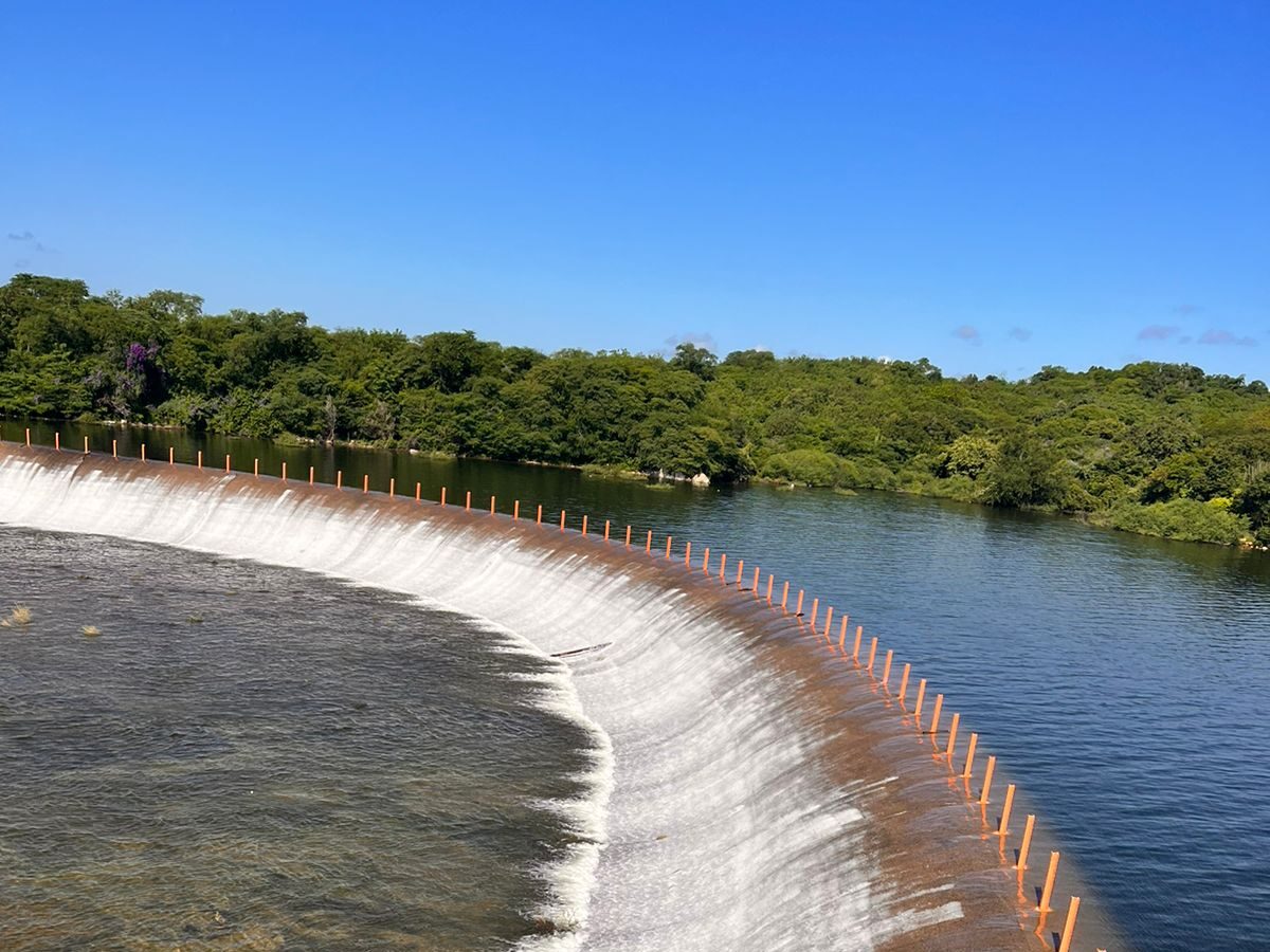 Presa Picachos