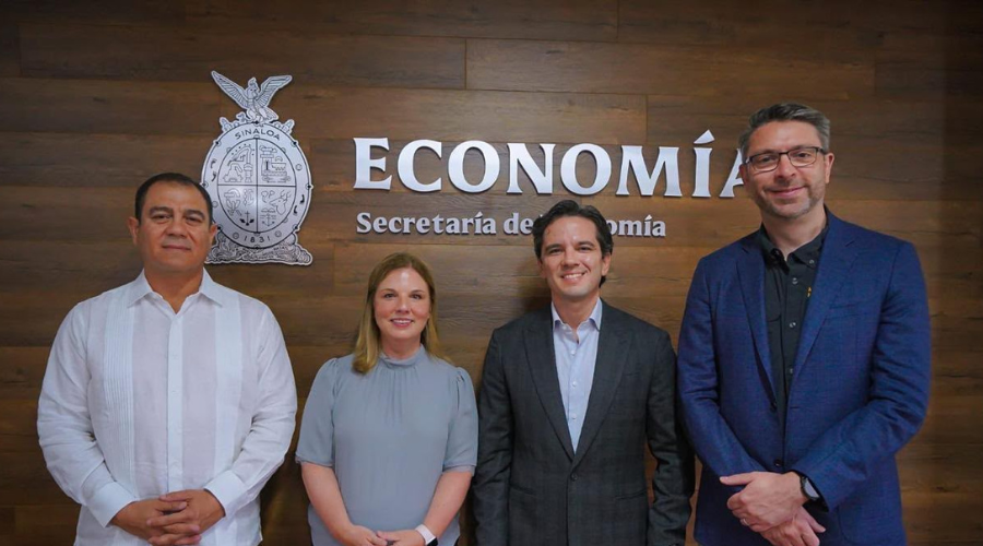 Proyecto minero Los Reyes